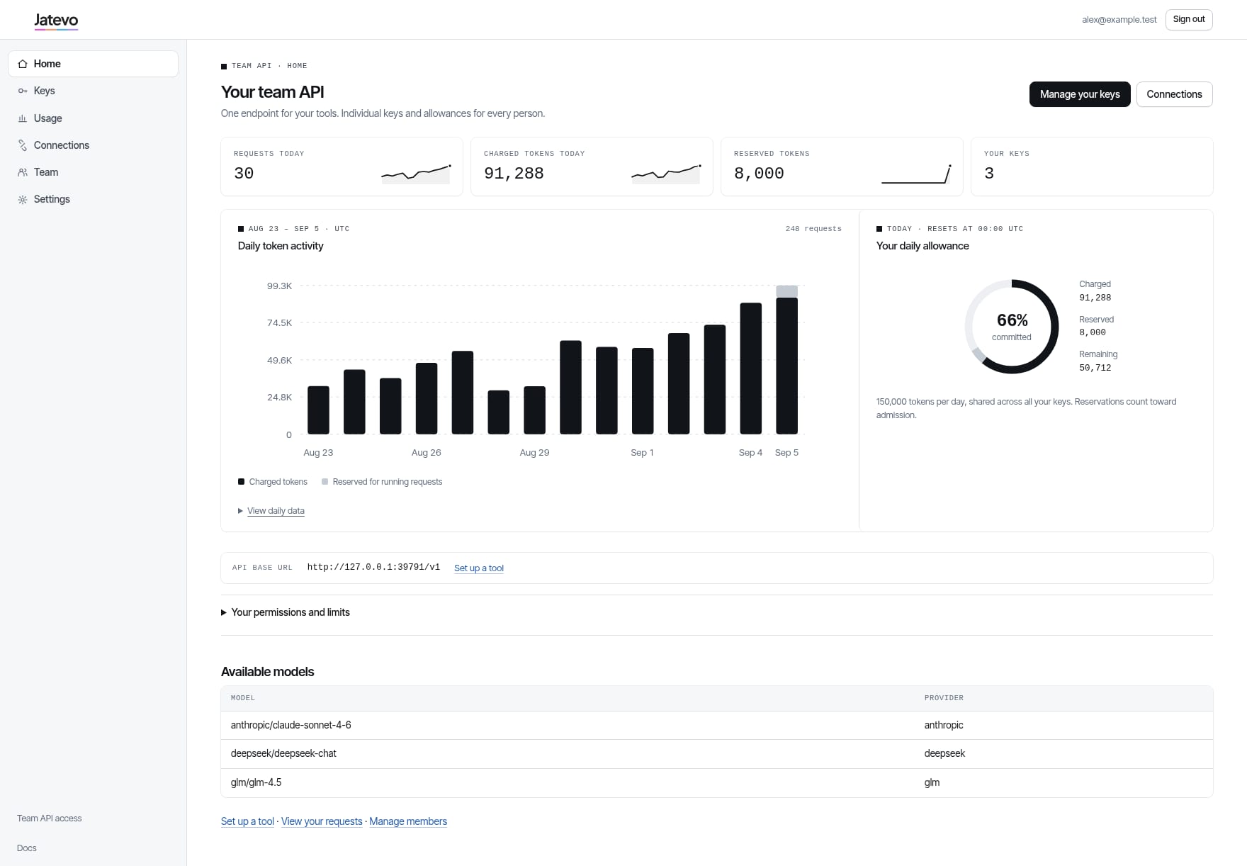 The console home: daily token activity, the allowance ring and the model catalog