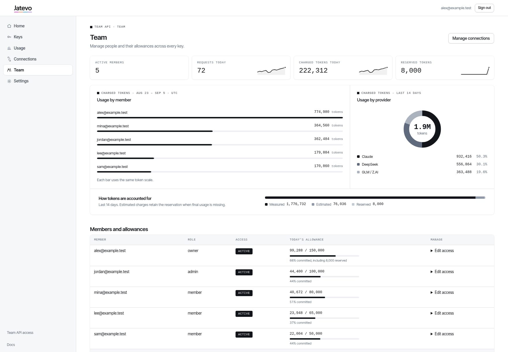 The team page: usage by member, an allowance per person and invitations