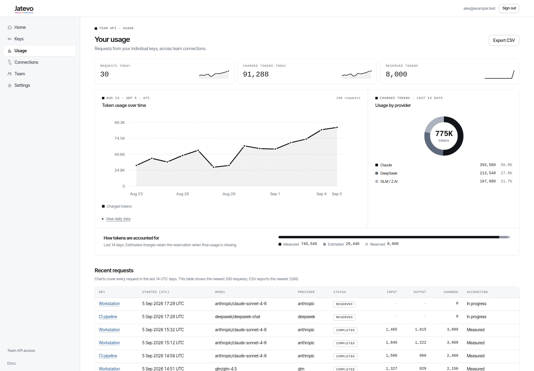 The usage page: token usage over time, usage by provider and every request in a table